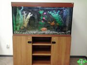 Аквариум 300 литров AquaPlus