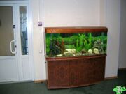 Аквариум Jebo r3150 400 литров